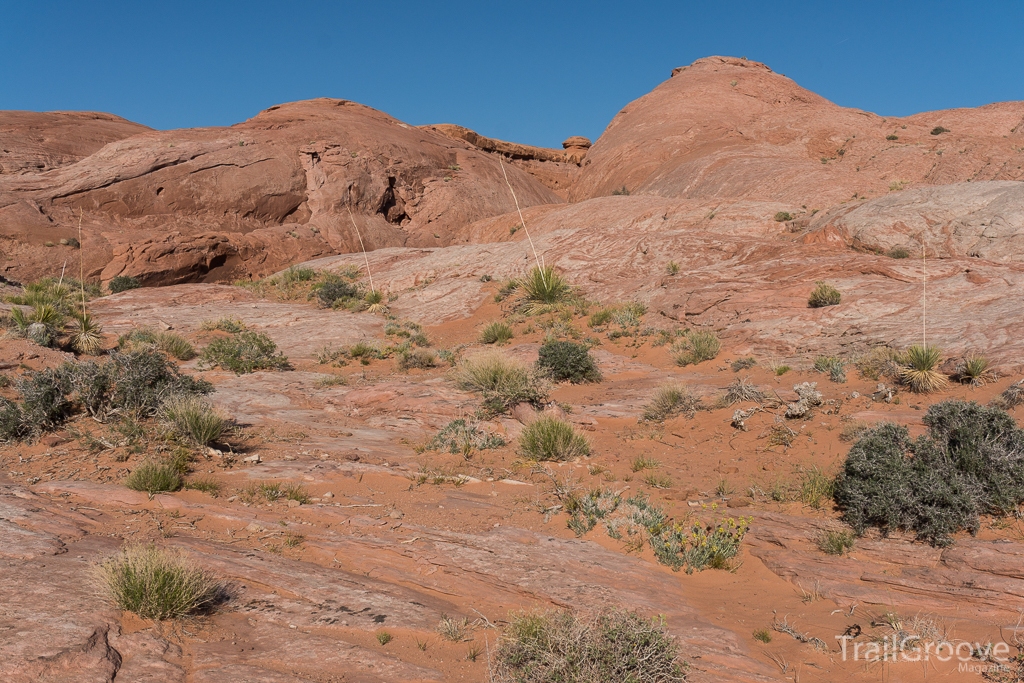 Summer Hiking and Backpacking