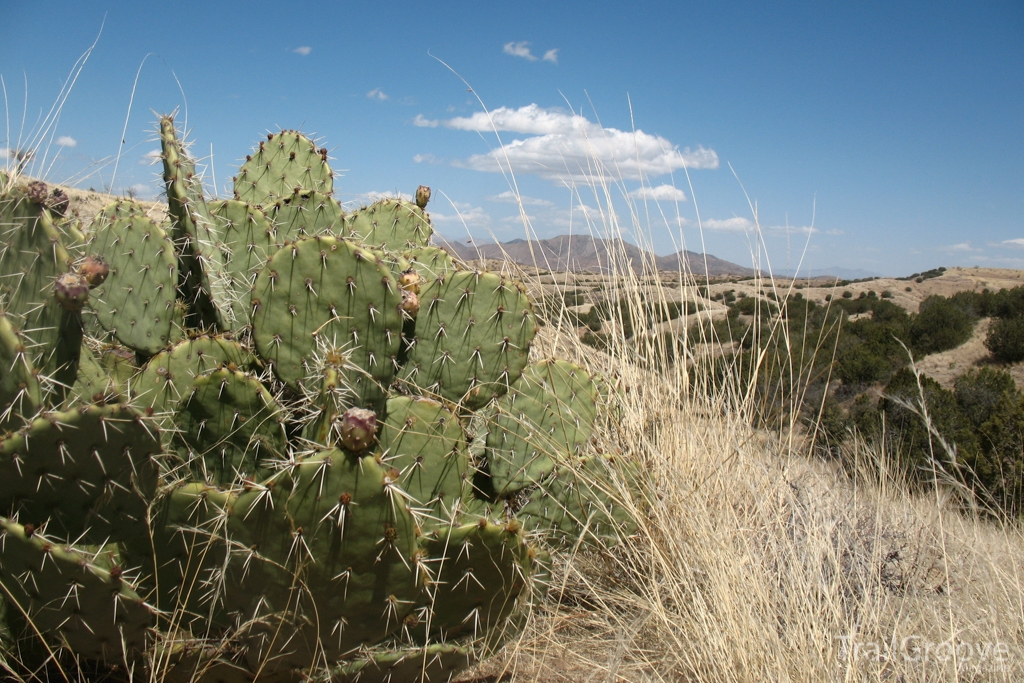 Backpacking in Hot Conditions