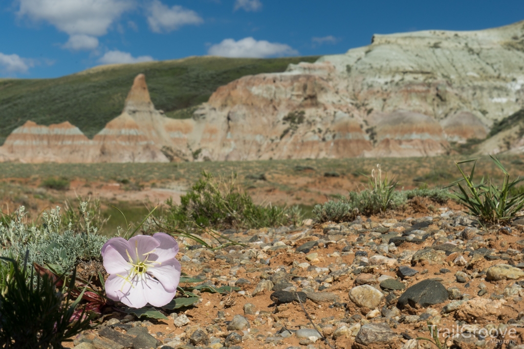 Summer Backpacking in Dry Hot Conditions