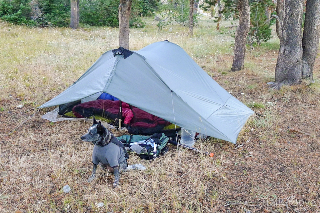 Ruffwear Backpacking Dog Jacket