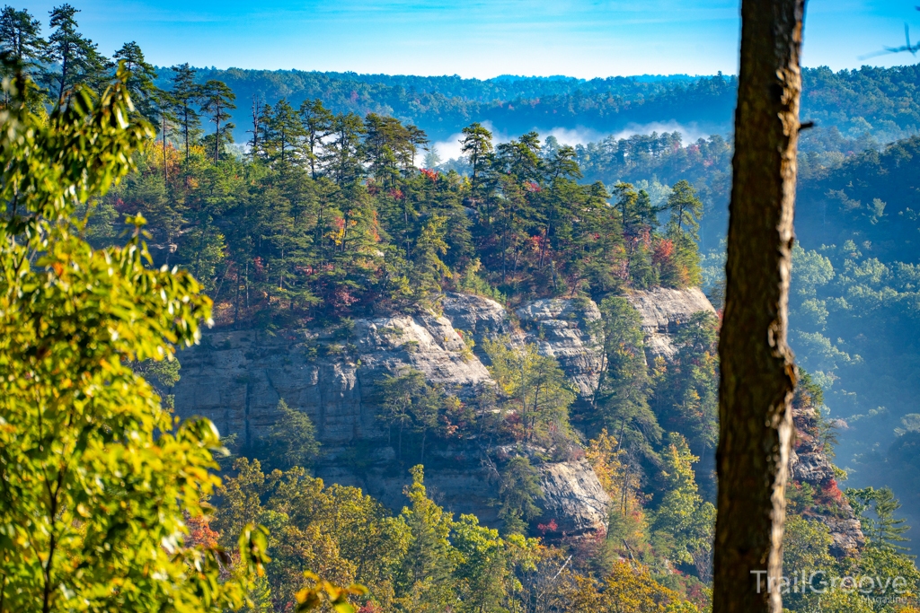 Early Morning Fog in Red River Gorge