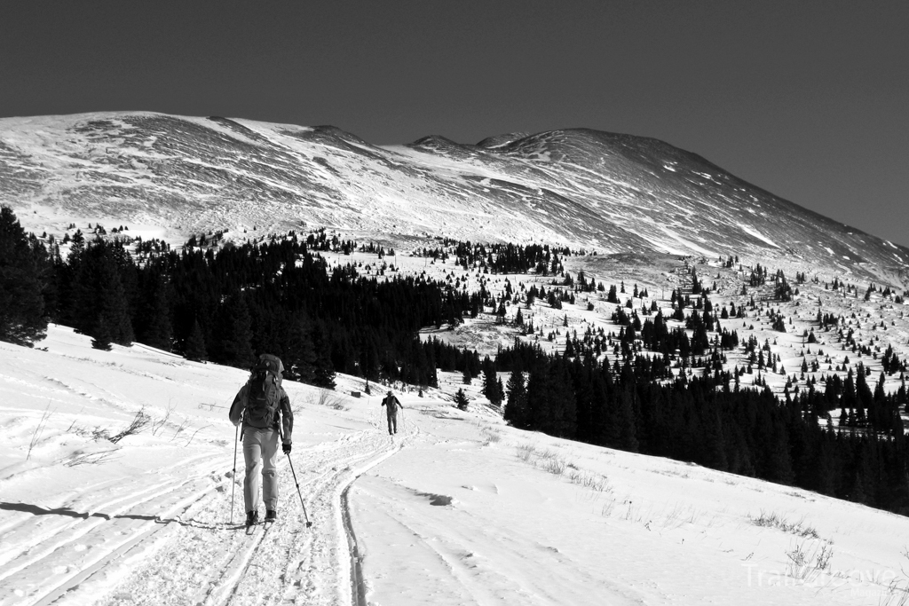 Skiing in the Backcountry