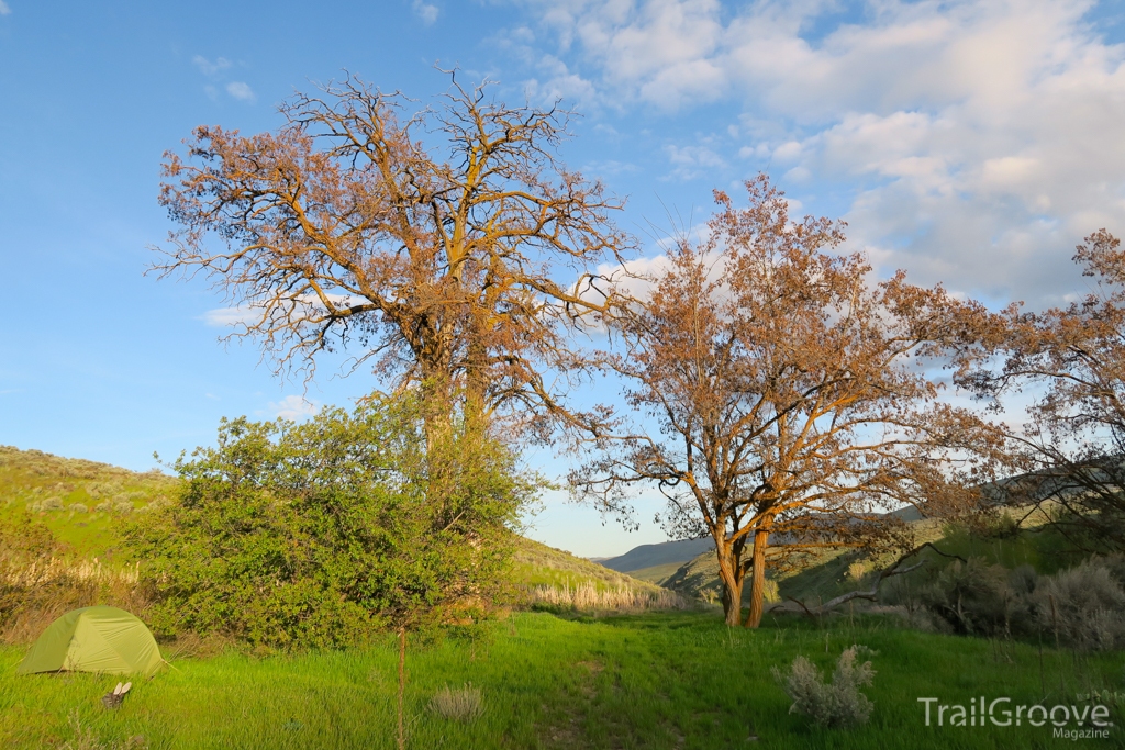 Descending on the Yakima Skyline Trail brought water, trees, and wildlife.