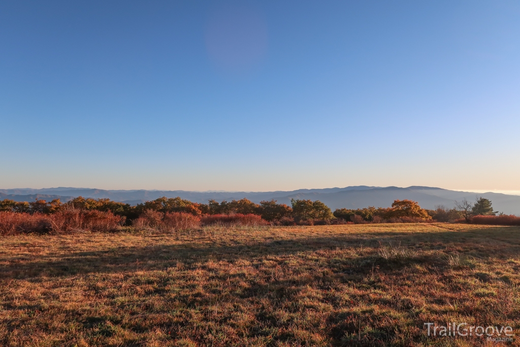 Gregory Bald offers wonderful views of the Great Smoky Mountains.