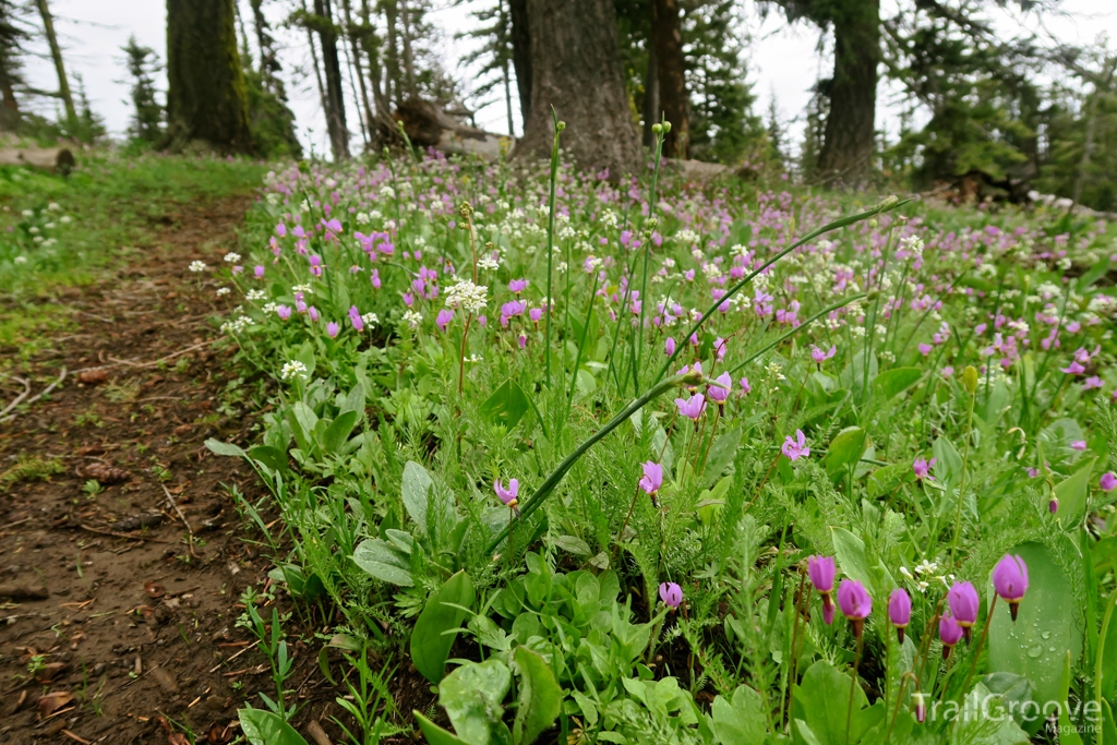 Backpacking Trail - Wenaha-Tucannon Wilderness