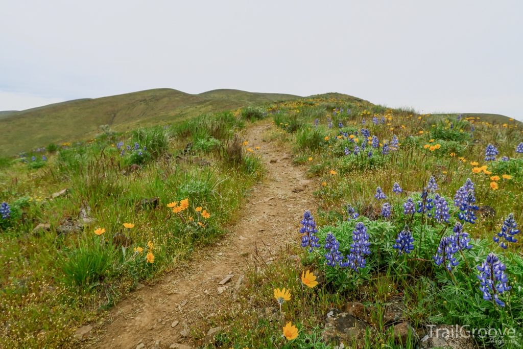 Yakima Skyline Trail