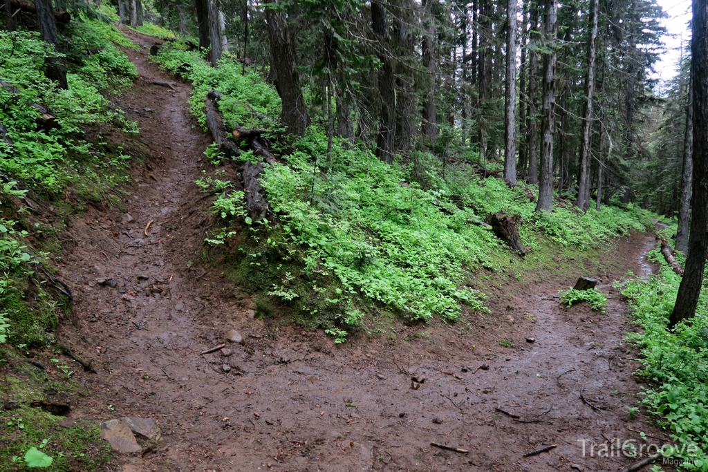 Steep Trail - Wenaha-Tucannon Wilderness