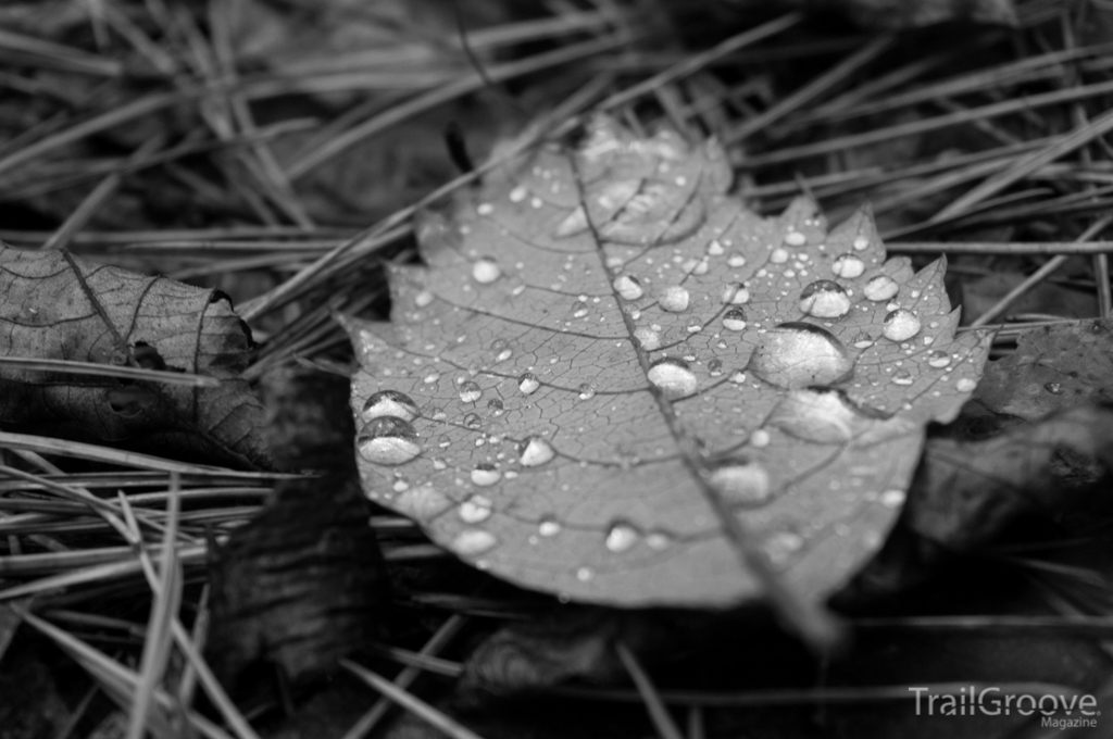 Backpacking on Rainy Days