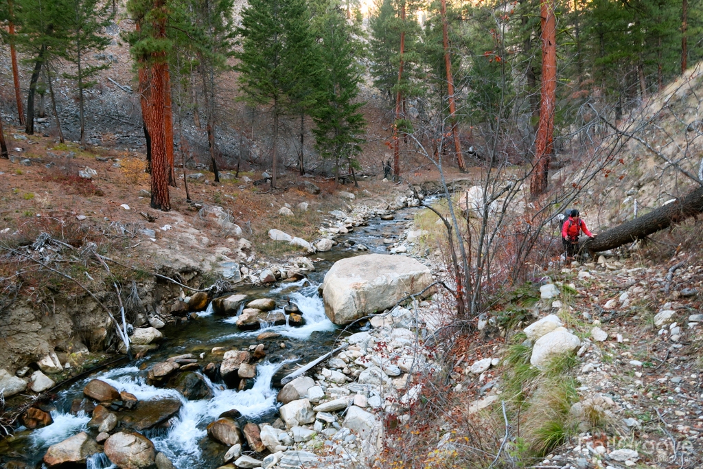 Hiking on the Owl Creek Trail