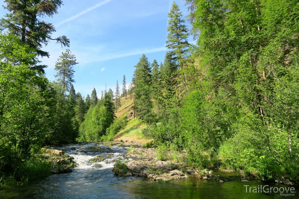 Creek in the Wenaha-Tucannon Wilderness