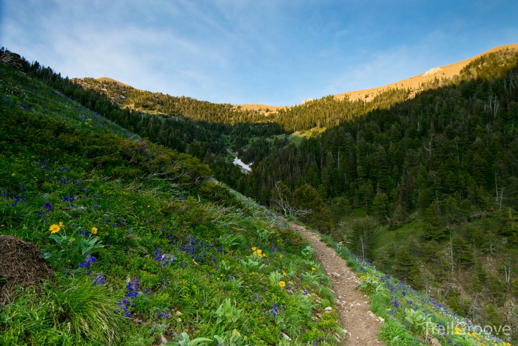 Summer Hike in the Bridger Range of Montana