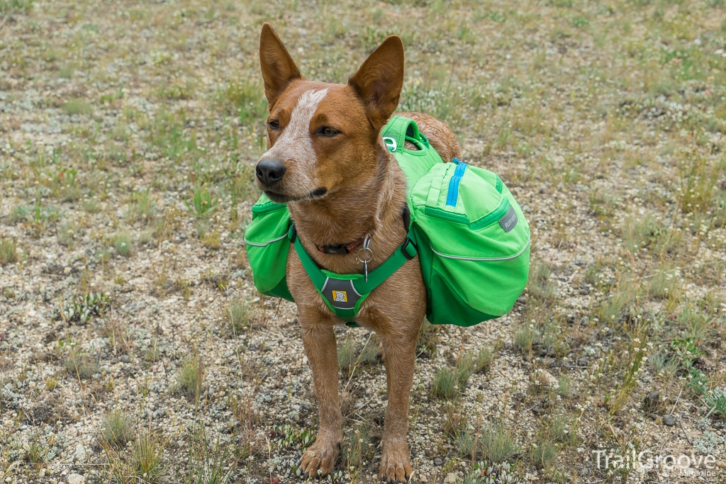 Ruffwear Approach Dog Pack Review