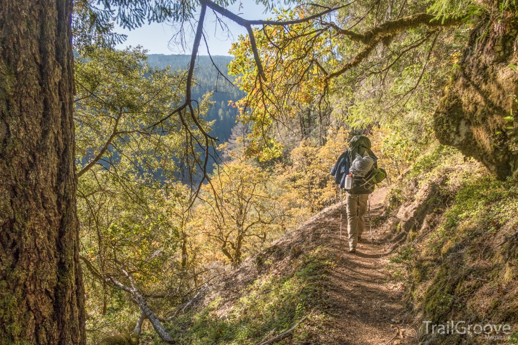 Scenery Along the Rogue River Trail