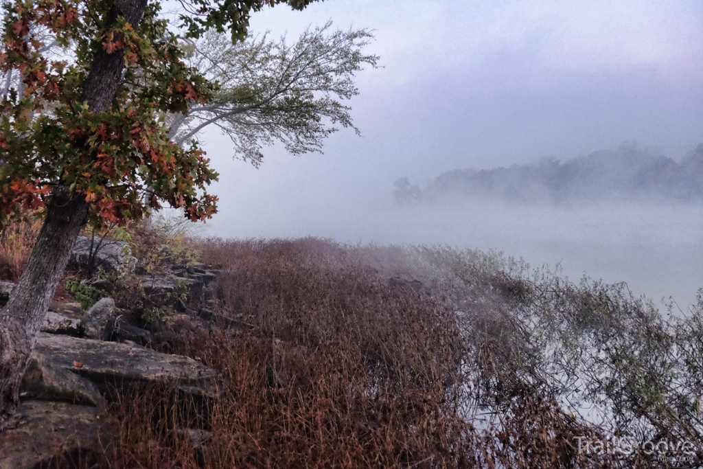 Cross Timbers Oklahoma Fog