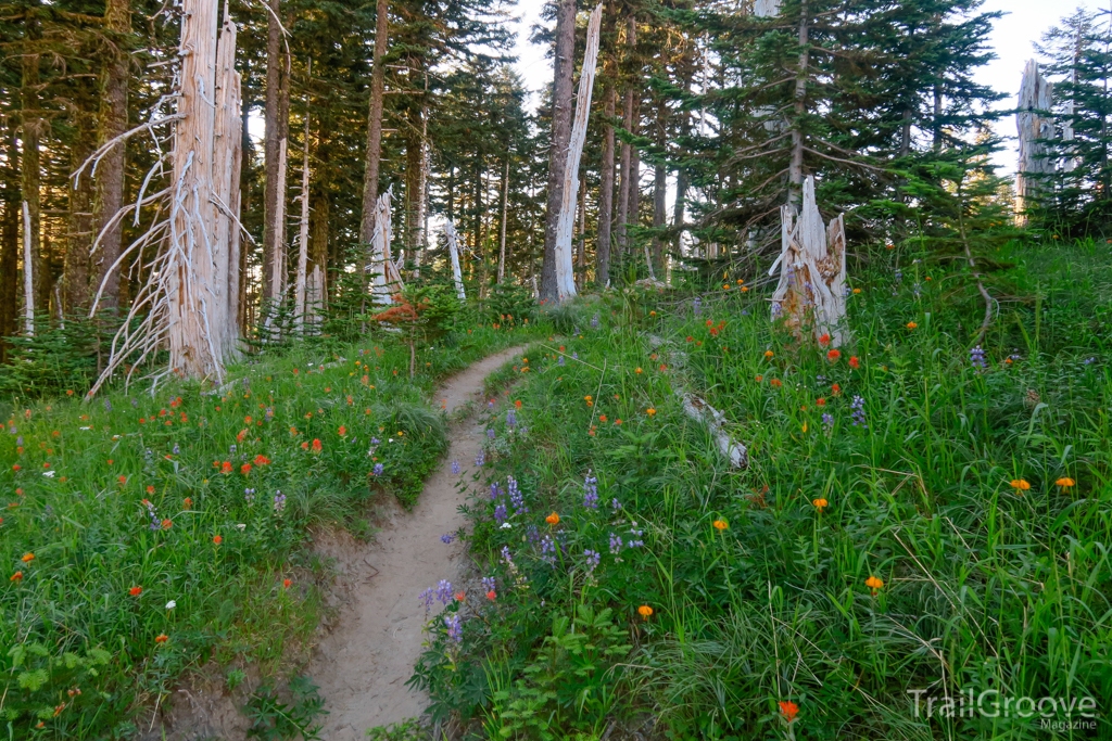 Loowit Trail Around Mount Saint Helens