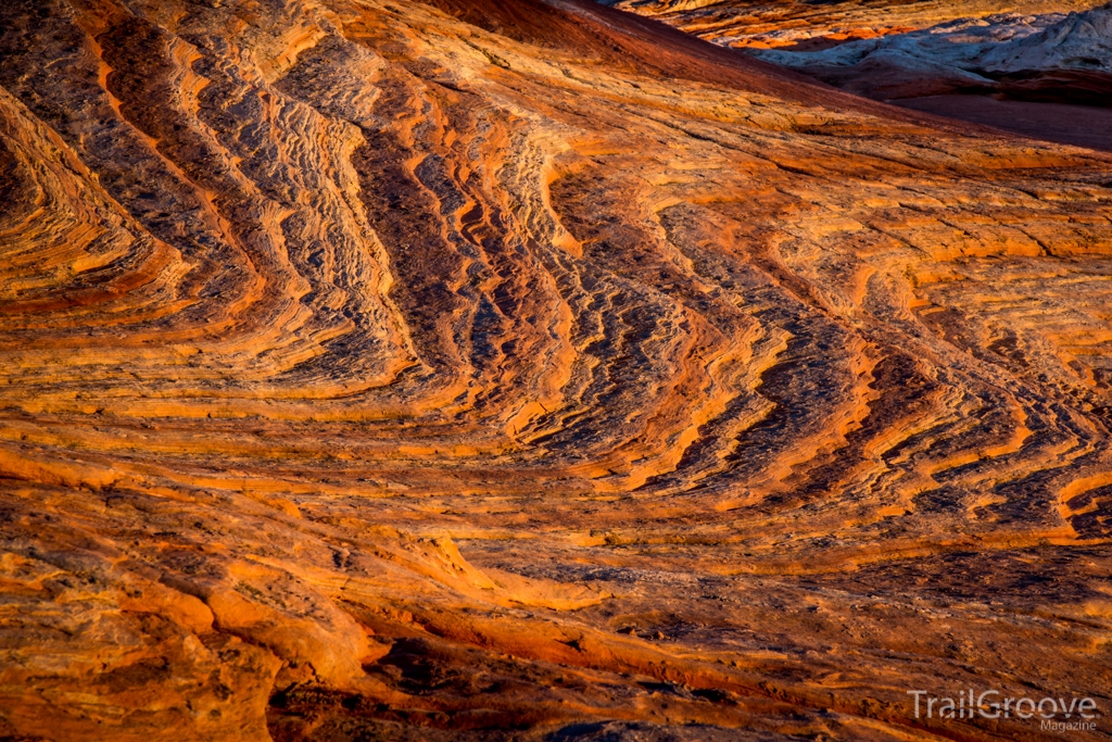 Rock Detail - Exploring Coyote Buttes