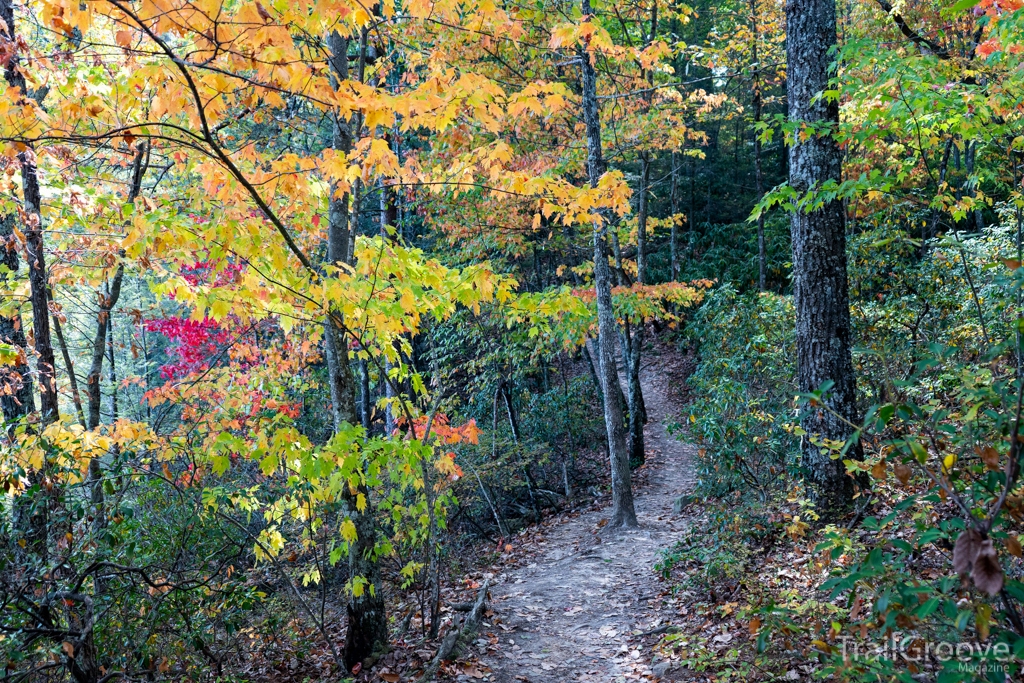 Hiking Trail in Natural Bridge State Park