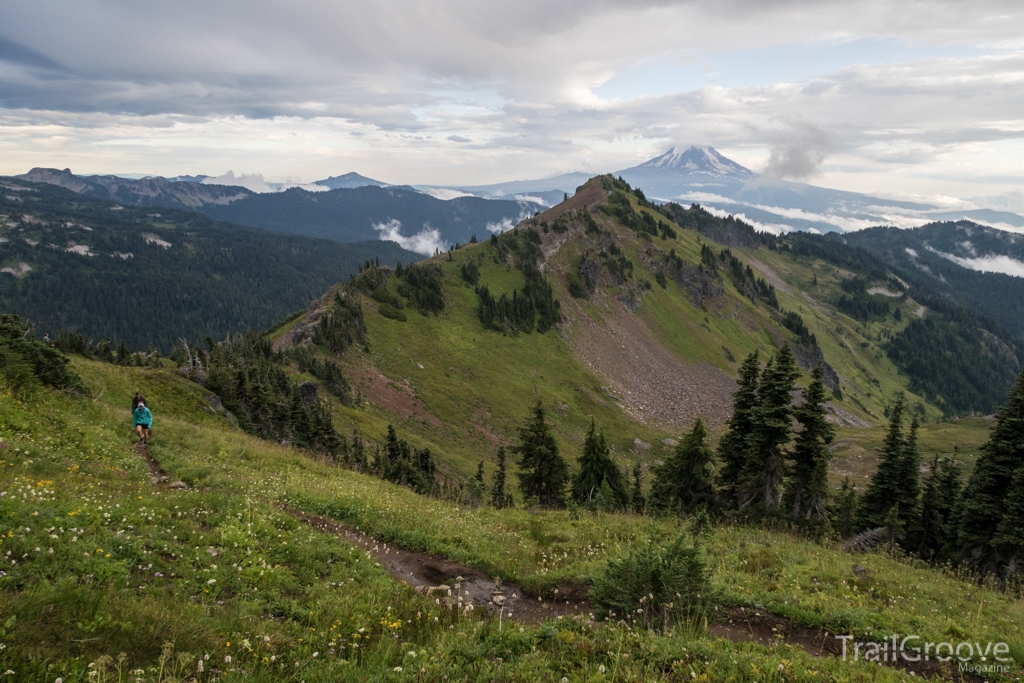 Distant Views and Goat Rocks Scenery