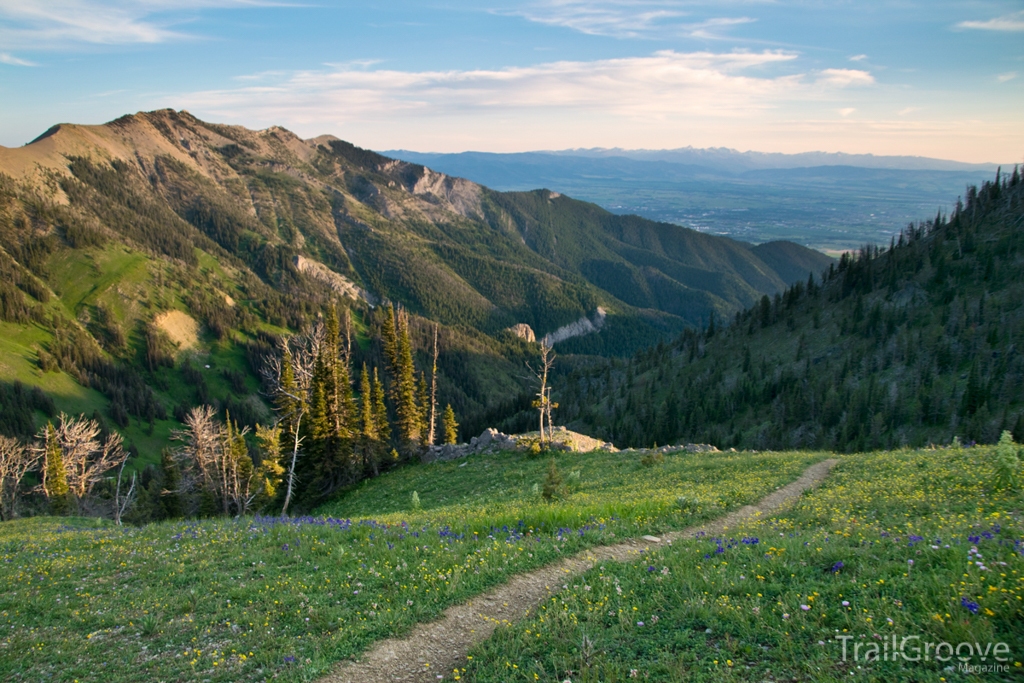 Trail in Montana's Bridger Range