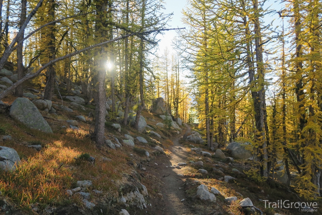 Hiking Trail in the Pasayten Wilderness