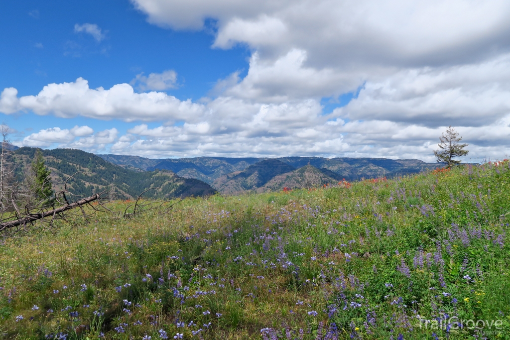 Hiking in the Wenaha-Tucannon Wilderness of Washington State