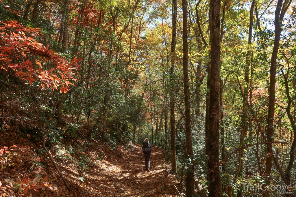 Colorful Scenes on the Twentymile Trail