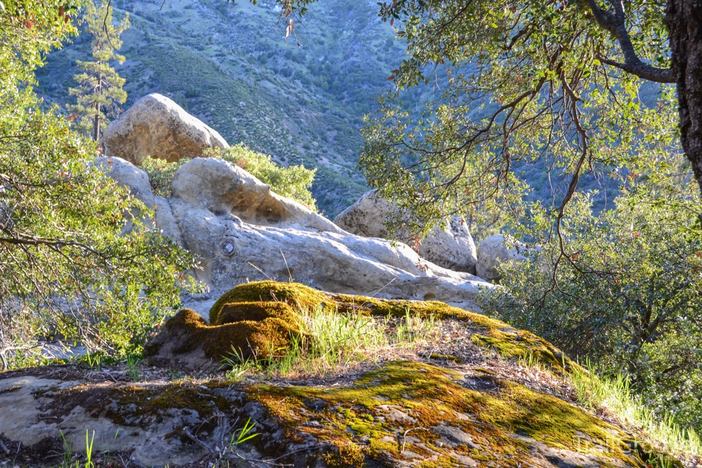 First Morning Light - Backpacking in the Ventana Wilderness