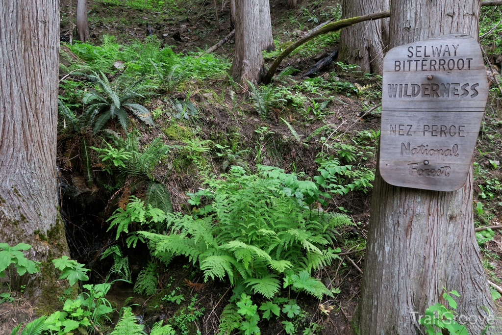 Hiking Into the Selway-Bitterroot Wilderness