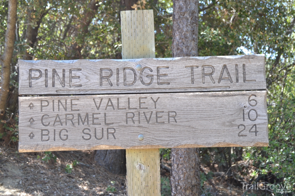 Ventana Wilderness Pine Ridge Trail