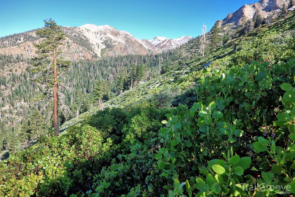 Theodore Solomons Trail Scenery