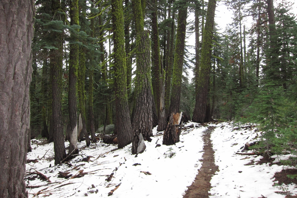 Hiking to Chilnualna Falls in Yosemite National Park