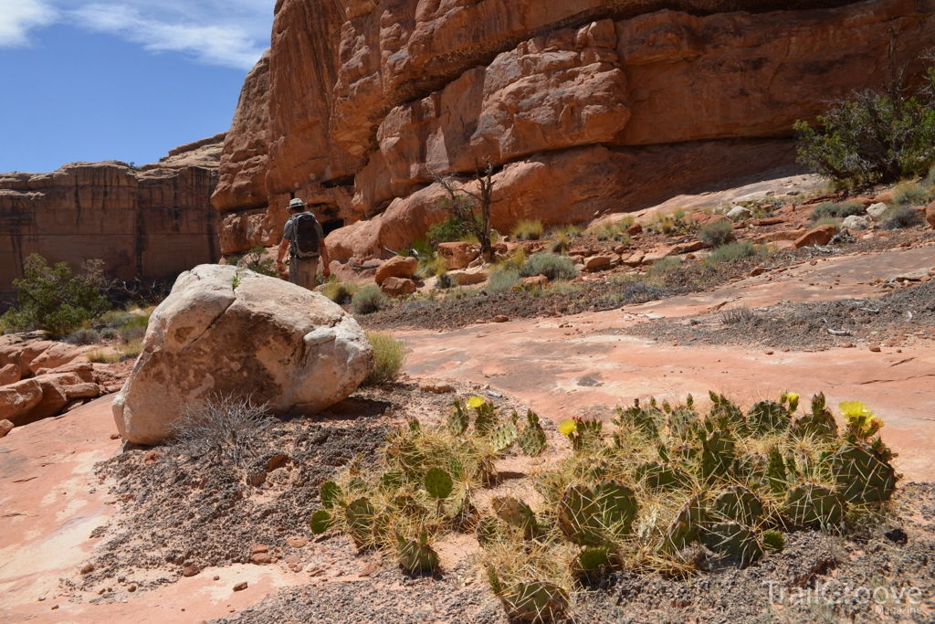 Grand Gulch Hiking - Desert Scenery