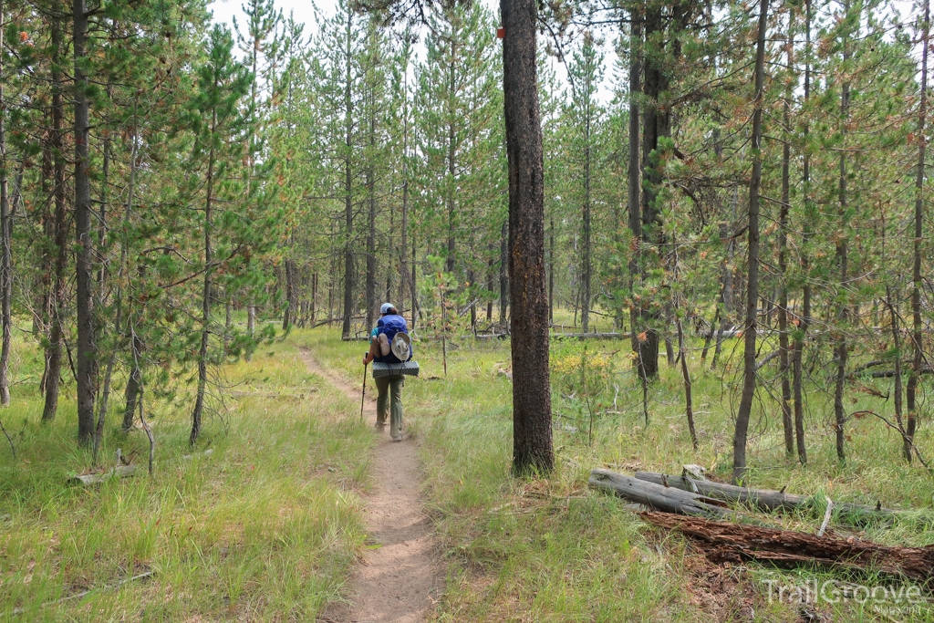 Hiking Trail in Yellowstone National Park