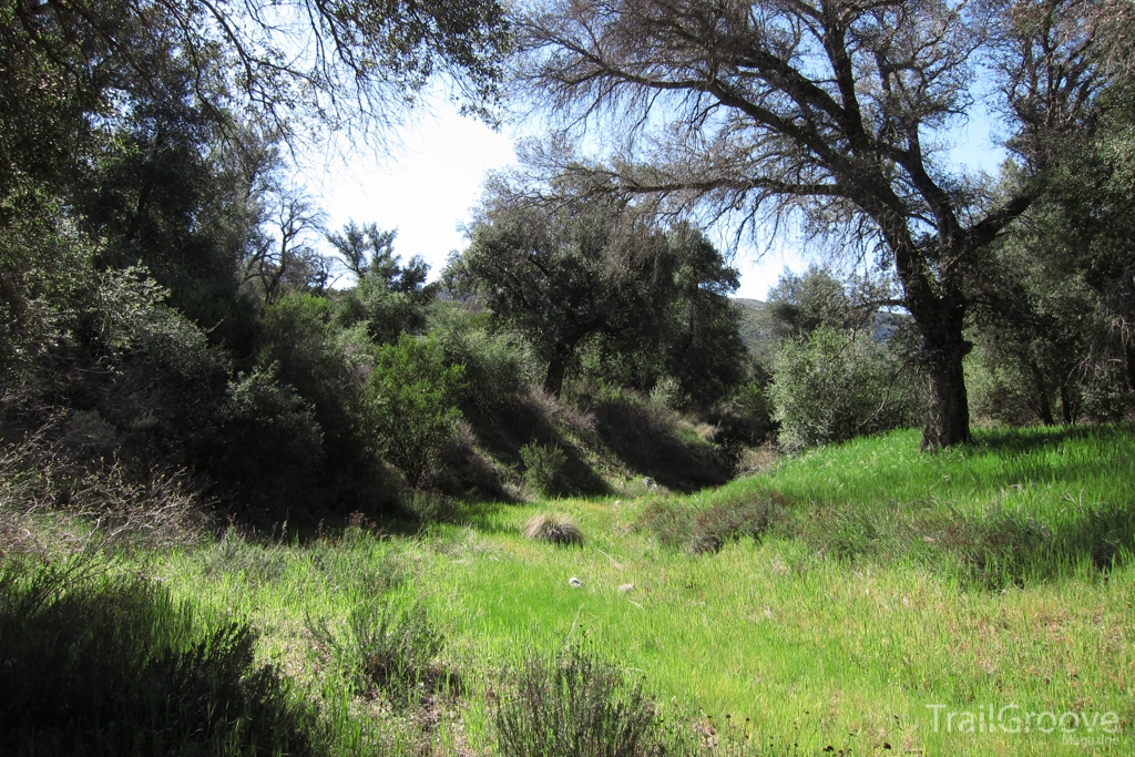 Along the Noble Canyon Trail in California