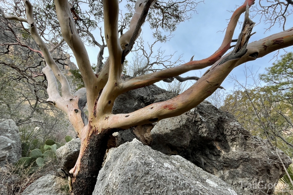 Guadalupe Mountains Scenery