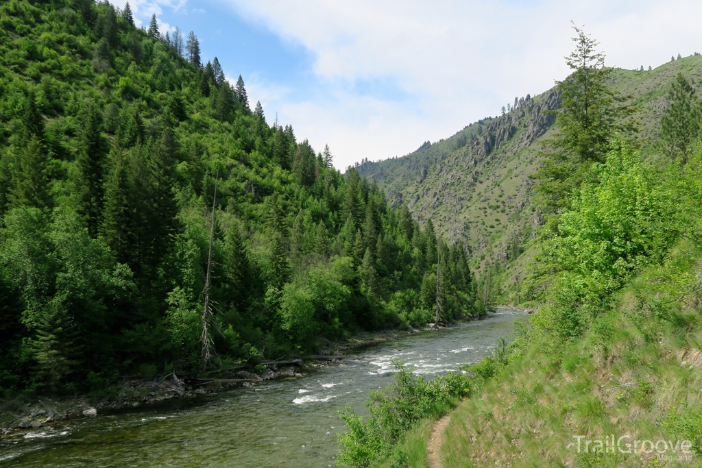 Selway River in the Selway-Bitterroot Wilderness