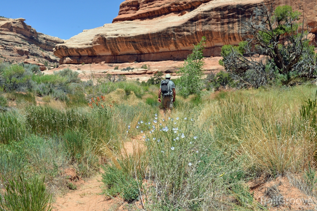 Hiking Grand Gulch - Bullet Canyon Utah