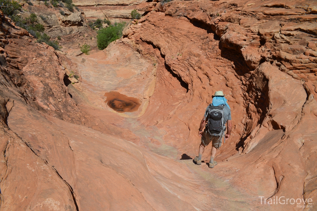 Grand Gulch Bullet Canyon Hike