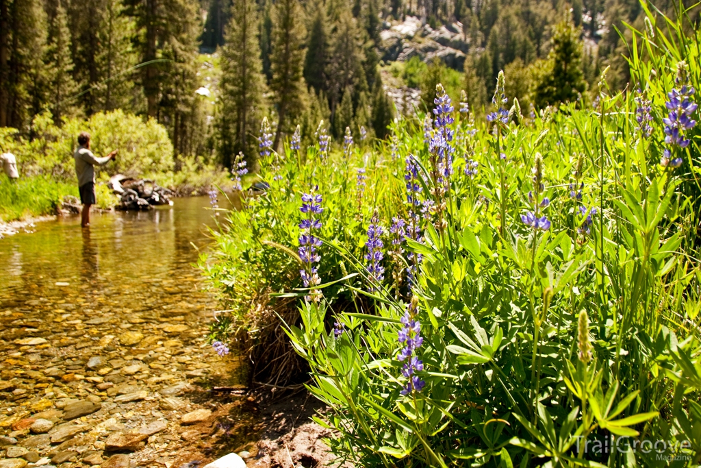 Fishing on the John Muir Trail