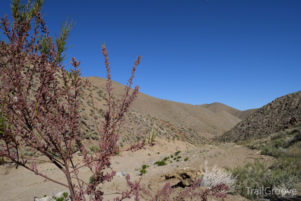 Marble Canyon Death Valley Overnight Backpacking Trip