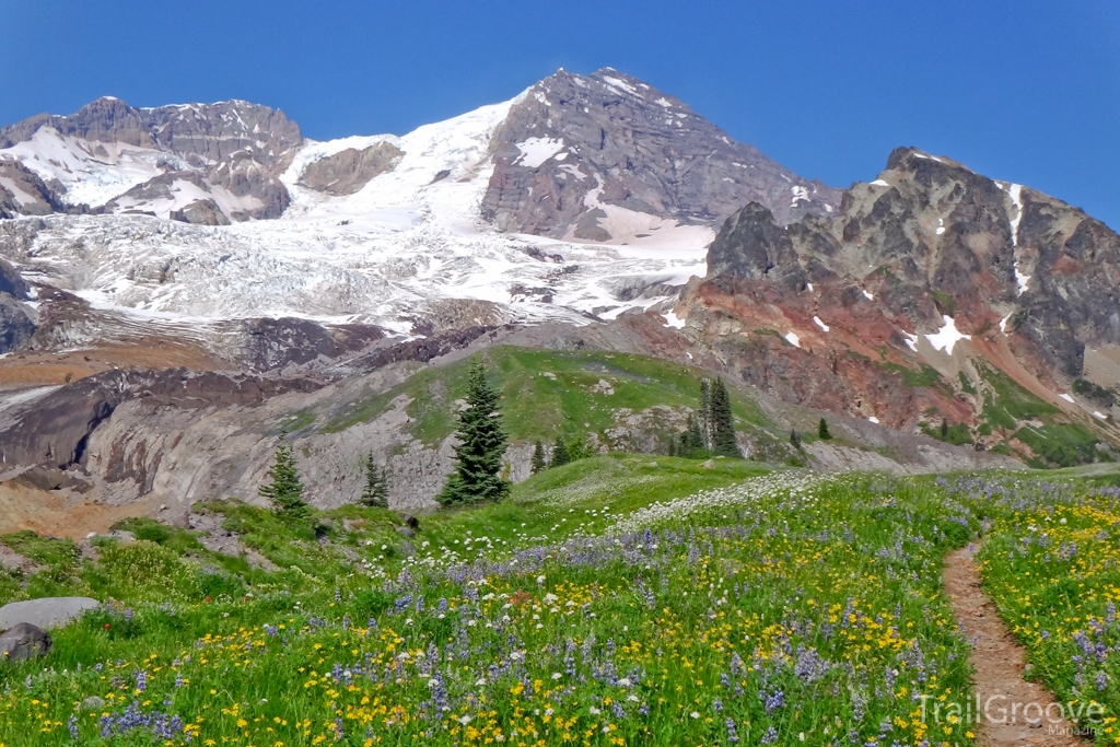 Hiking the Wonderland Trail