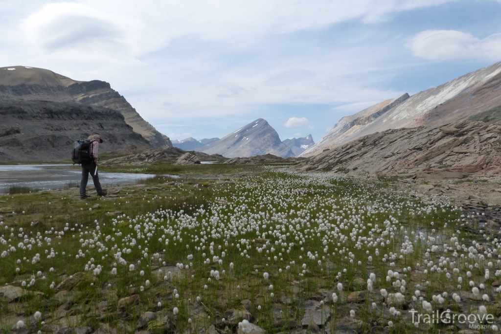 Canada's Great Divide Trail