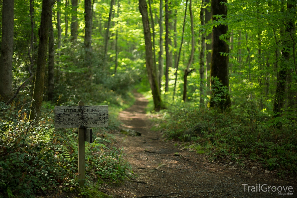 Goshen Prong Little River Trail Intersection with Cucumber Gap