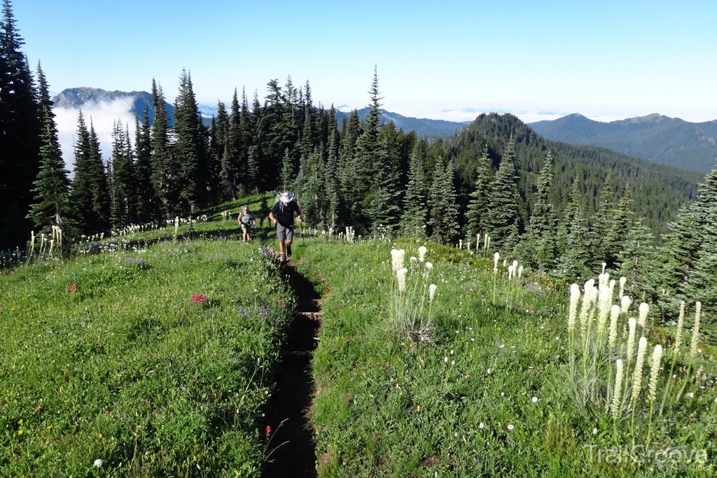 Scenic Walking on the Wonderland Trail