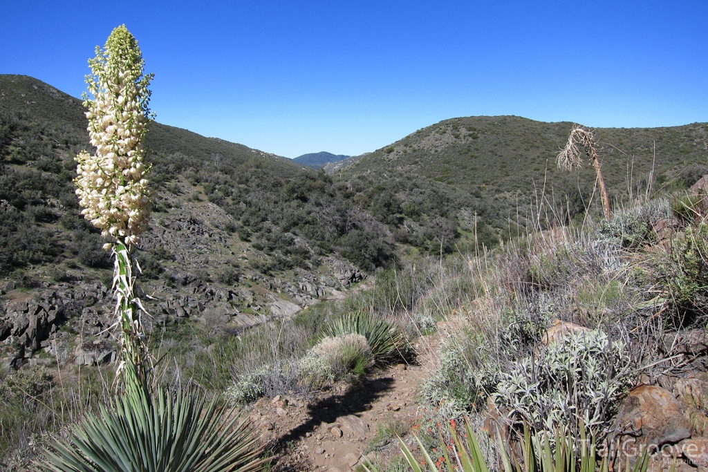 Hiking the Noble Canyon Trail