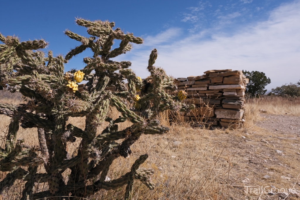 Pinery Station Hike in the Guadalupe Mountains