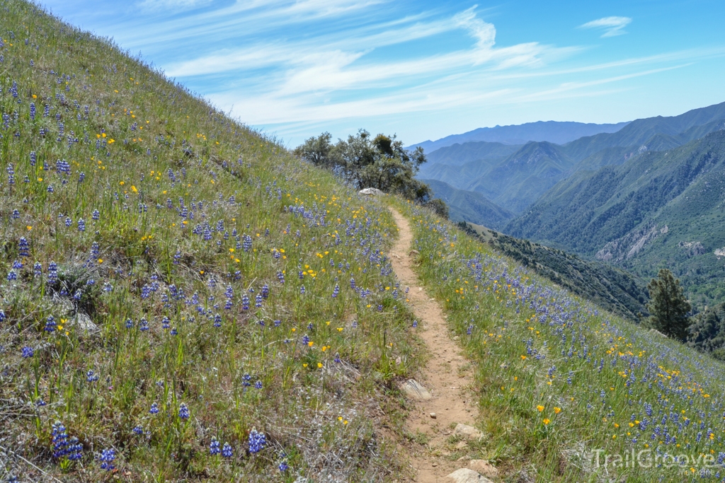 Hiking and Backpacking in the Ventana Wilderness