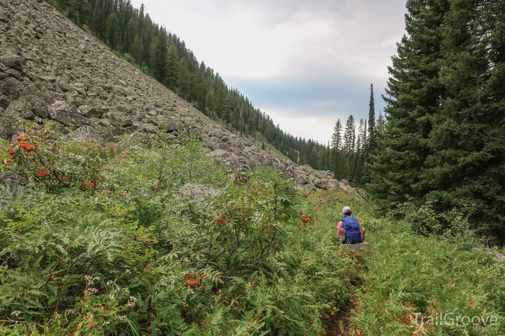 Yellowstone National Park Backpacking