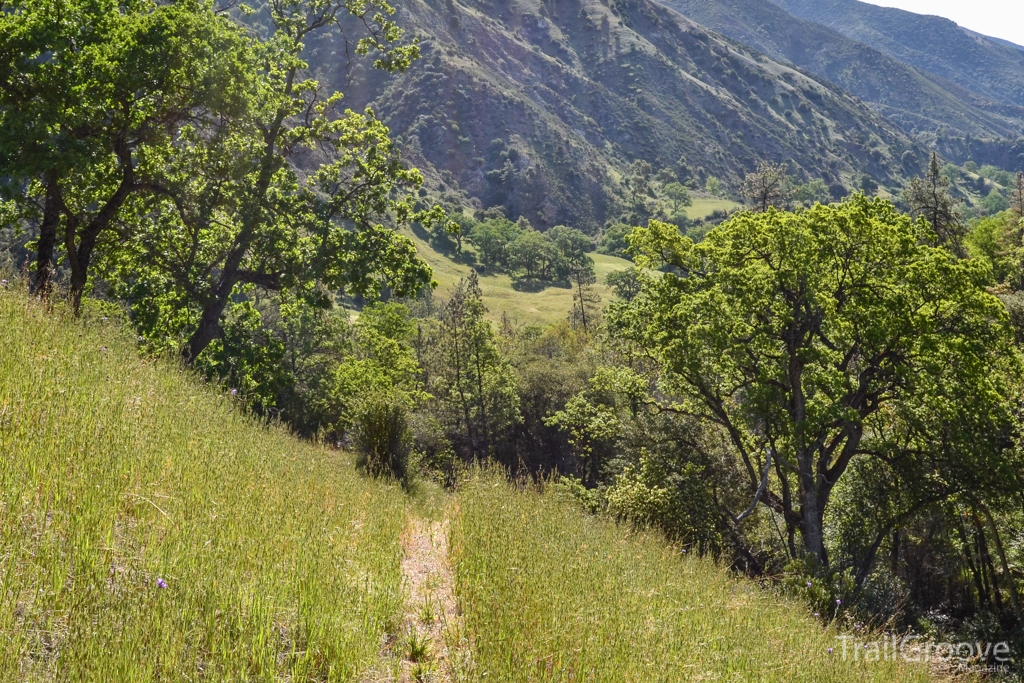 Ventana Wilderness Hiking Trail