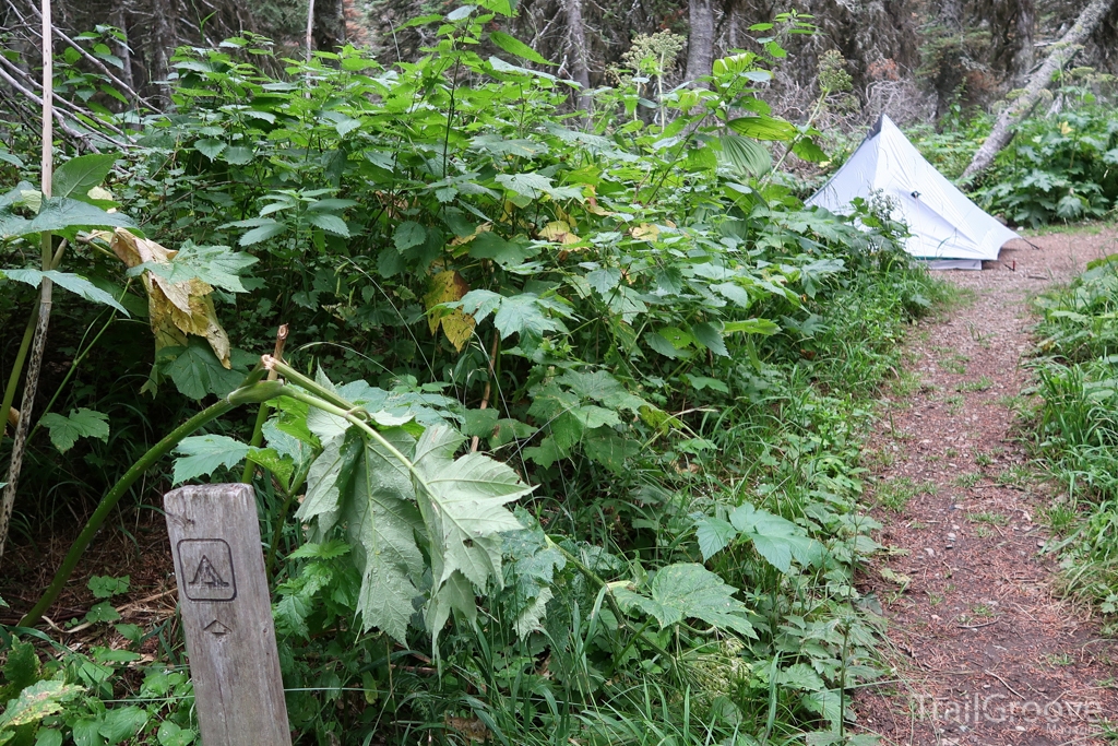 Backpacking Campsite in Glacier National Park